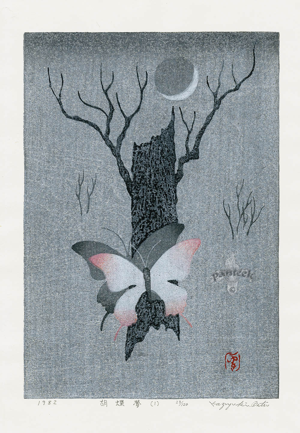 Kazuyuki Ohtsu A Butterfly in Dream 1
