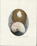 Kazuyuki Ohtsu Kocho Kohuu (1981) - Panteek Antique Prints