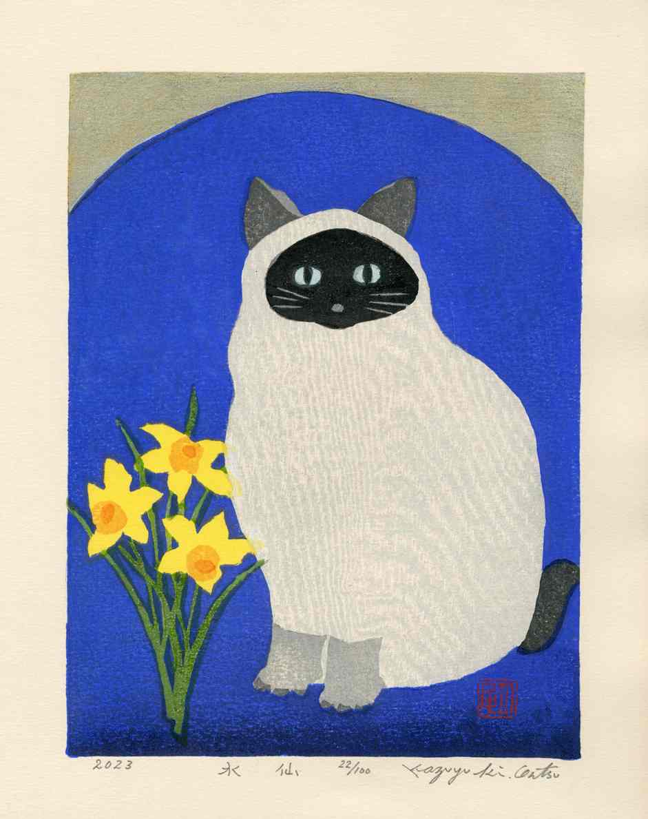 Kazuyuki Ohtsu Spring Narcissus, Cat