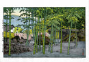 Toshi Yoshida Bamboo Garden, Hakone Museum - Panteek Antique Prints