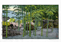 Toshi Yoshida Bamboo Garden, Hakone Museum - Panteek Antique Prints