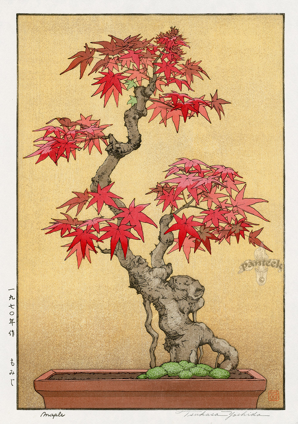 Tsukasa Yoshida Maple 1970