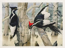 Rex Brasher Birds America 1930 1st Edition Print IvoryBill Woodpecker Extinct - Panteek Antique Prints
