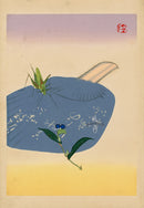 Tansai Gafu Design Book Insect, Katydid