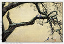 Toshi Yoshida Plum Tree and Blue Magpie Original Woodblock Print