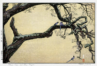 Toshi Yoshida Plum Tree and Blue Magpie Original Woodblock Print