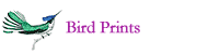 Bird Prints