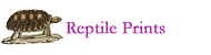 Reptile Prints